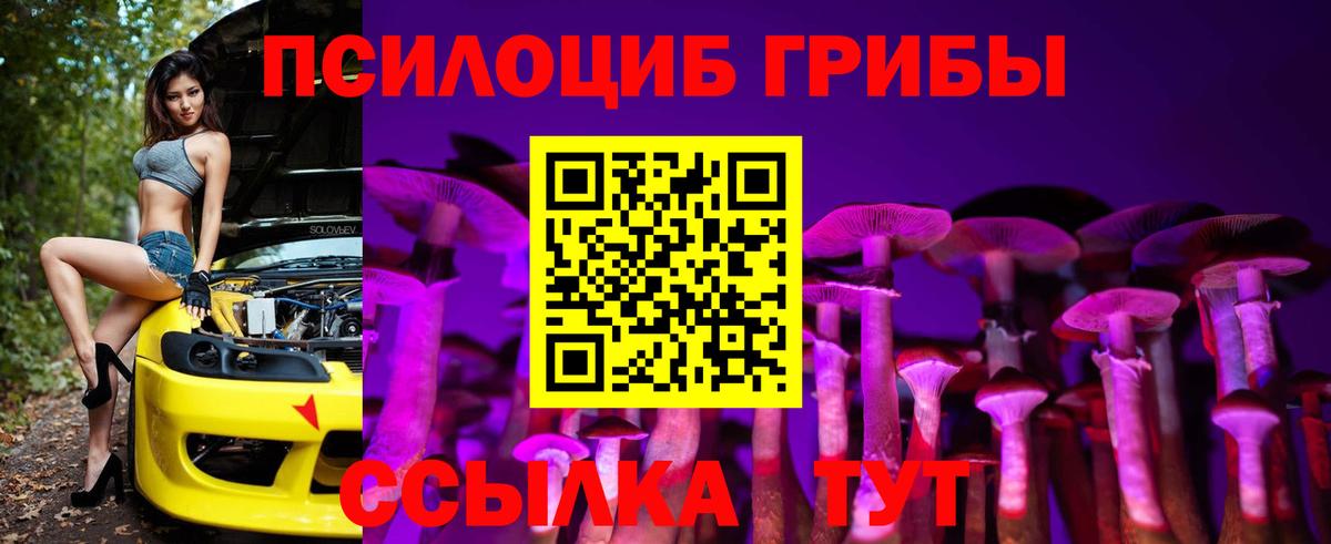 Галлюциногенные грибы Psilocybe Наро-Фоминск