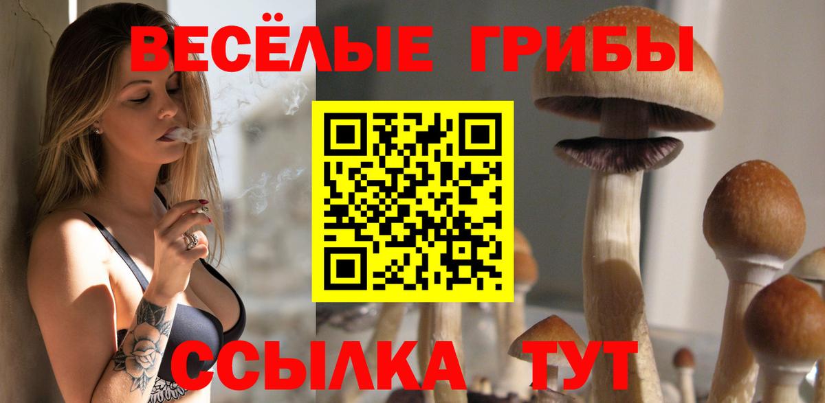 Наро-Фоминск  Галлюциногенные грибы MAGIC MUSHROOMS  Вход с VPN 